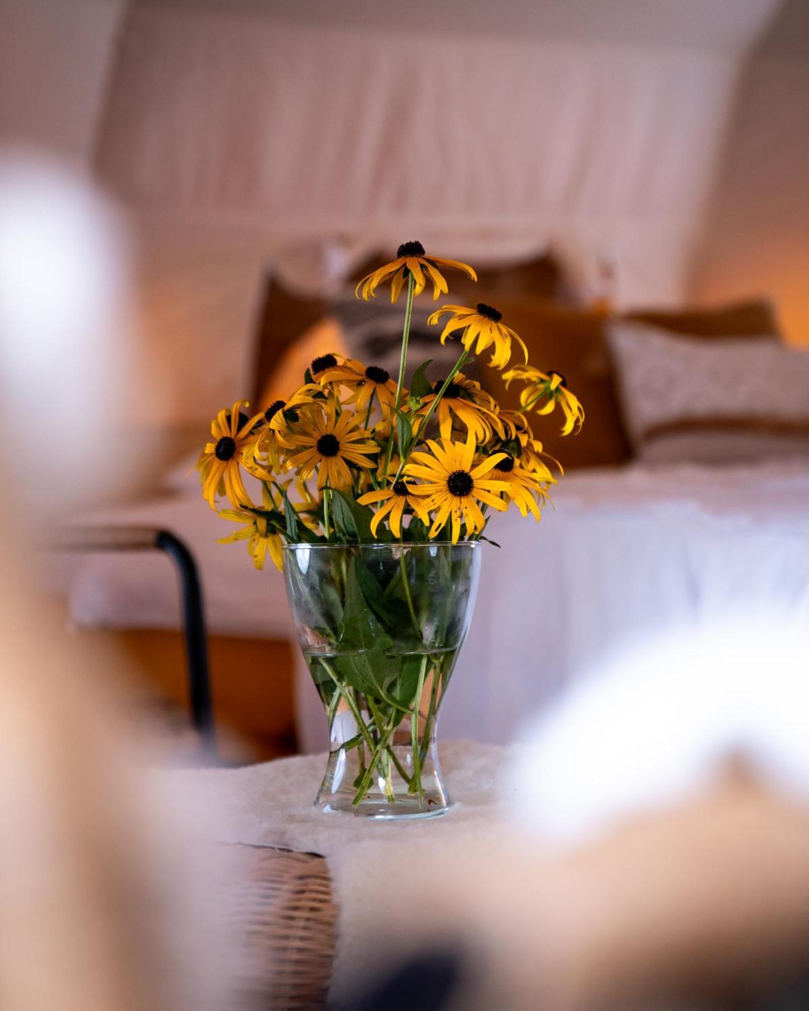 Hotel Glamping Gozdna Jasa Bovec Exterior foto