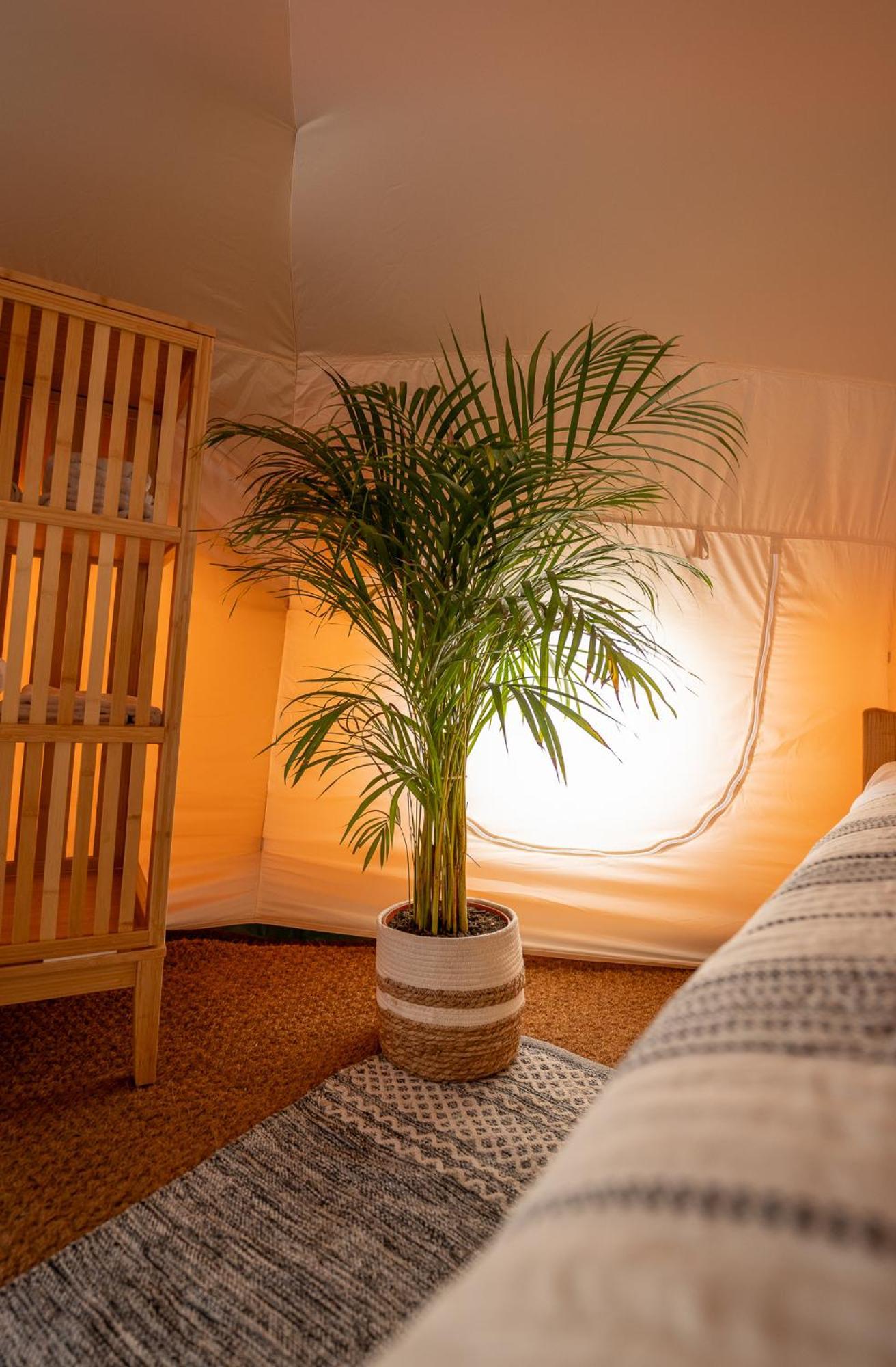 Hotel Glamping Gozdna Jasa Bovec Exterior foto